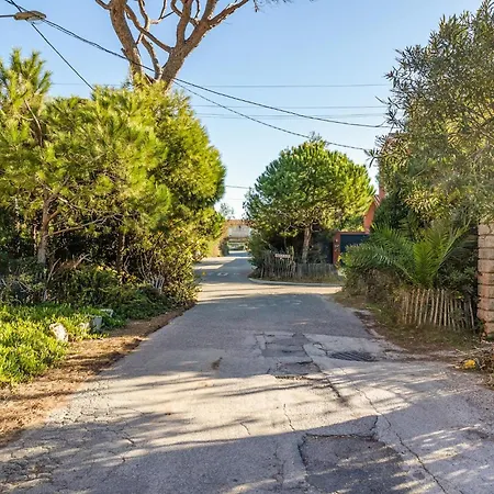 Apartamento Awesome In With Wifi