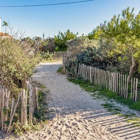 Awesome In With Wifi Apartment *